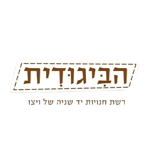 bigudit logo